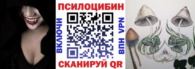 Псилоцибиновые грибы Cubensis Горячеводский